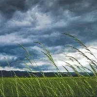 وزش باد شدید، بارش باران و احتمال سیلاب