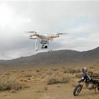 اجرای طرح سراسری سرشماری از گونه‌های شاخص حیات‌ وحش آغاز شد