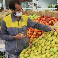 قیمت امروز میوه و ترهبار در مشهد؛ میوههای پاییزی چند؟