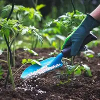 برنامه کود پتاسه در همدان محقق شد؛ توزیع ۱۷ هزار و ۵۰۰ تن کود گندم و جو