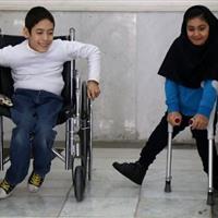 ۶۸ درصد پیام‌ها به بهزیستی درباره توانبخشی است