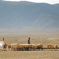 عشایر خراسان شمالی و روزگار تلخ خشکسالی