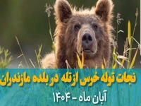 پذیرایی از خرس گرفتار در تله کشاورزان با آب و عسل