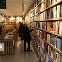 معاون فرهنگی اداره ارشاد البرز: وضعیت کیفی حوزه نشر خوب است