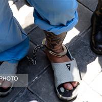 برخورد قاطع پلیس با اراذل و اوباش و حاملان سلاح سرد در غرب استان تهران