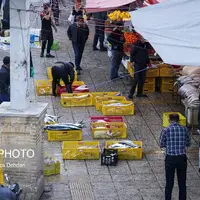 انتقال اصناف دروازه کازرون شیراز به بازار پروتئین نهایی شد