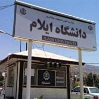 ۲۰ میلیون دلار ارزآوری، سود علمی برای ایلام