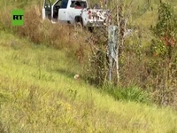 واژگونی کامیون میمونهای مبتلا به ویروس در آمریکا