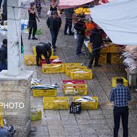 انتقال اصناف دروازه کازرون شیراز به بازار پروتئین نهایی شد/ افزایش تنفس اجاره بها به ۶ ماه