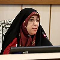 استفاده از ظرفیت شهرهای خواهرخوانده برای توسعه یزد