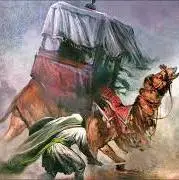 از فتنه جمل چه میدانیم؟