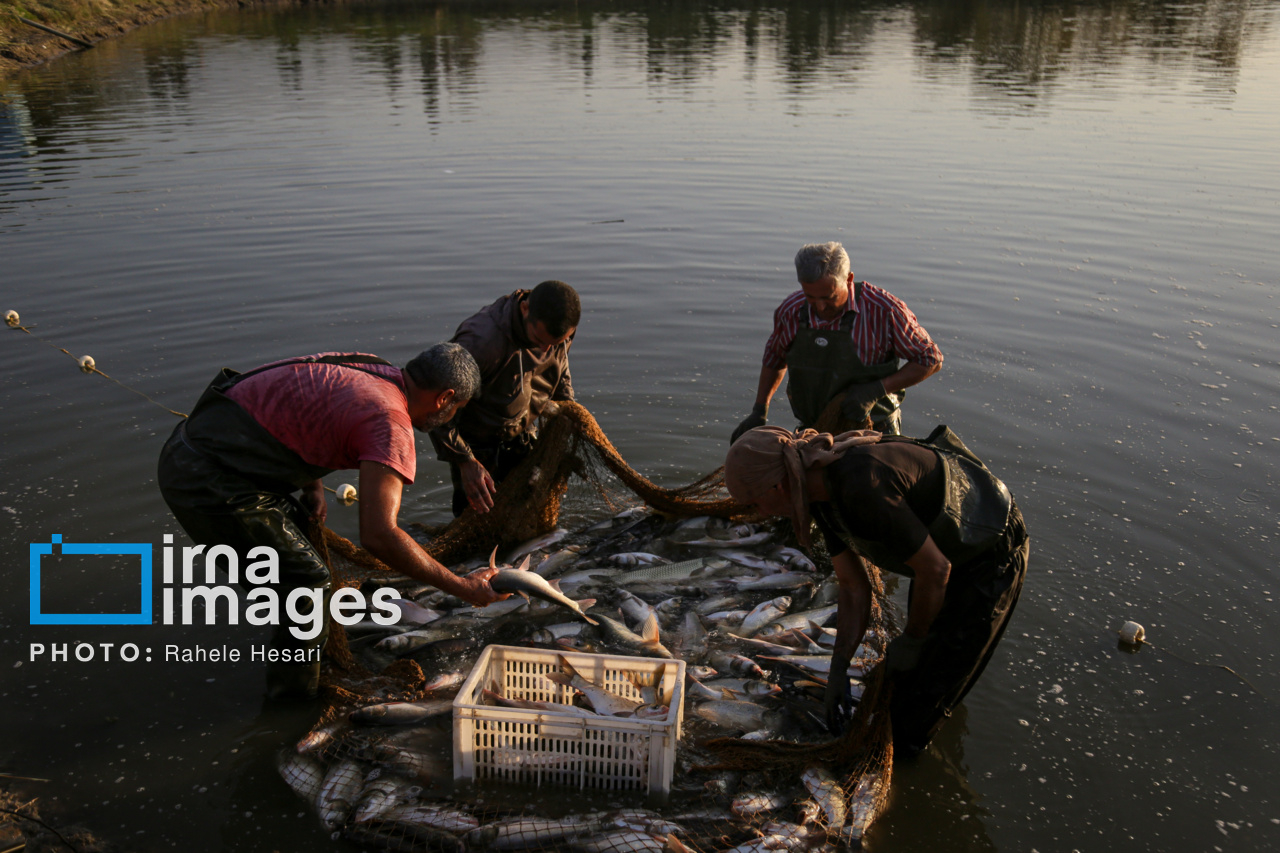 روزی در خاک و دریا