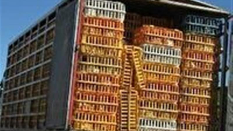 توقیف کامیون حامل مرغ زنده فاقد مجوز در قاینات