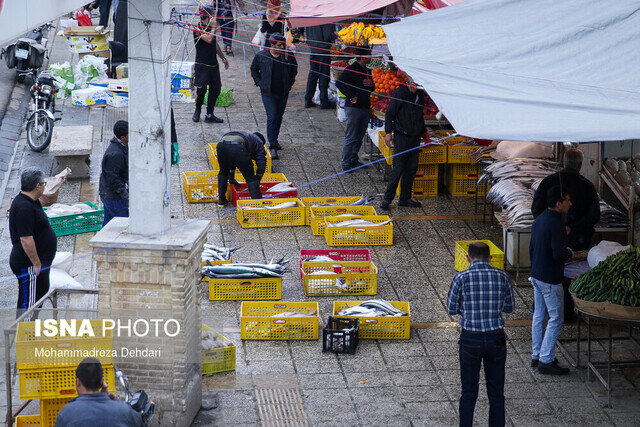 انتقال اصناف دروازه کازرون شیراز به بازار پروتئین نهایی شد