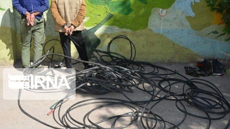 سارقان کابل‌های مخابراتی در اردبیل دستگیر شدند
