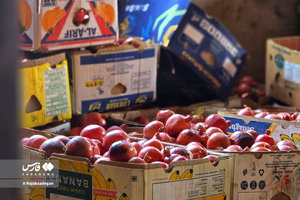 عکس/ پاییز و انارچینی در یزد