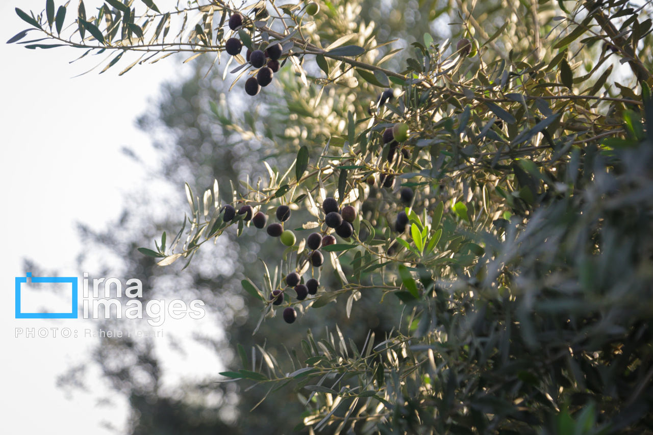 روزی در خاک و دریا