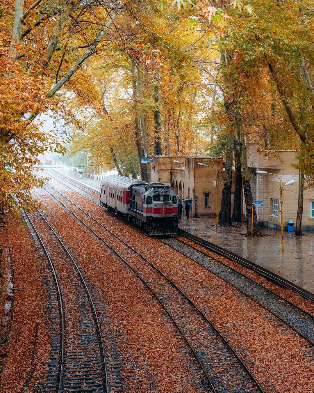 وقتی ریل‌ها از میان رنگ‌ها می‌گذرند 
