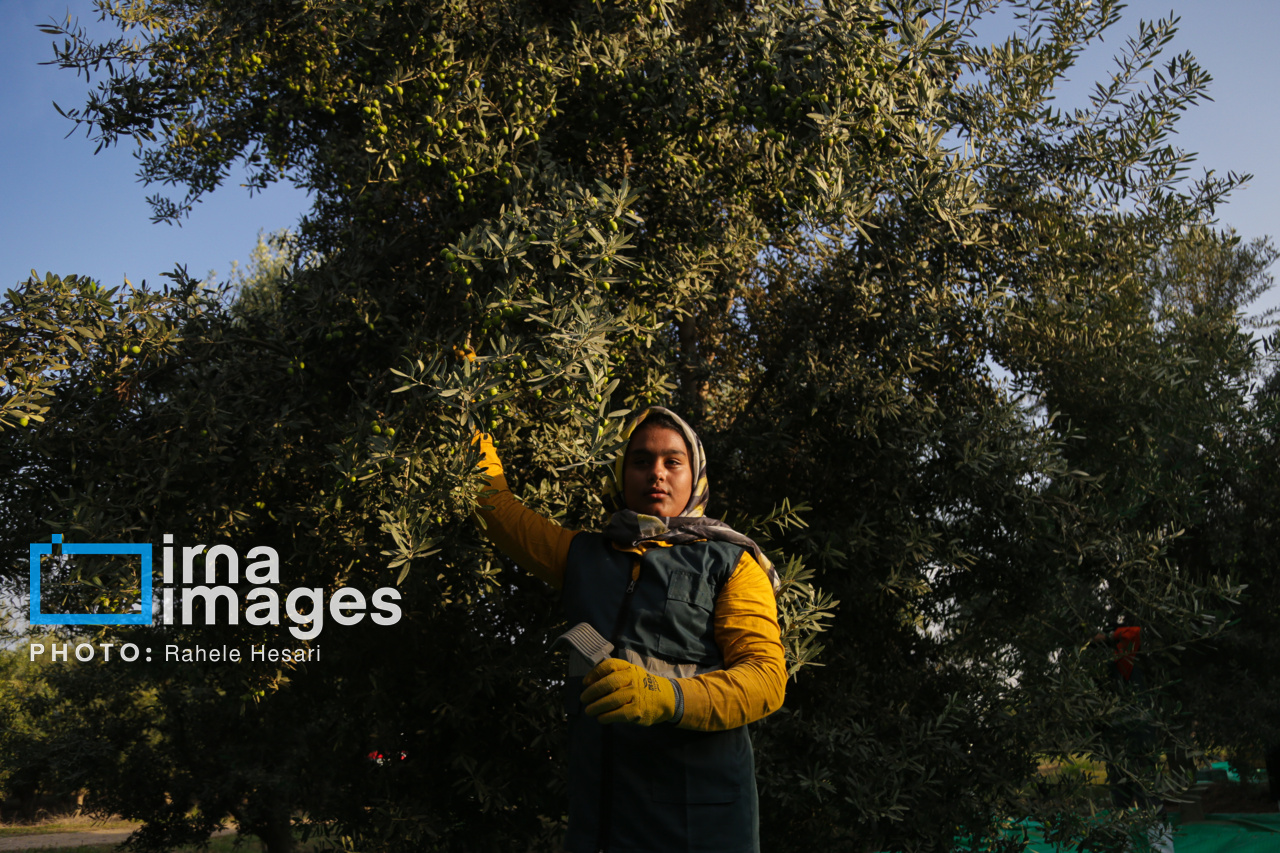 روزی در خاک و دریا