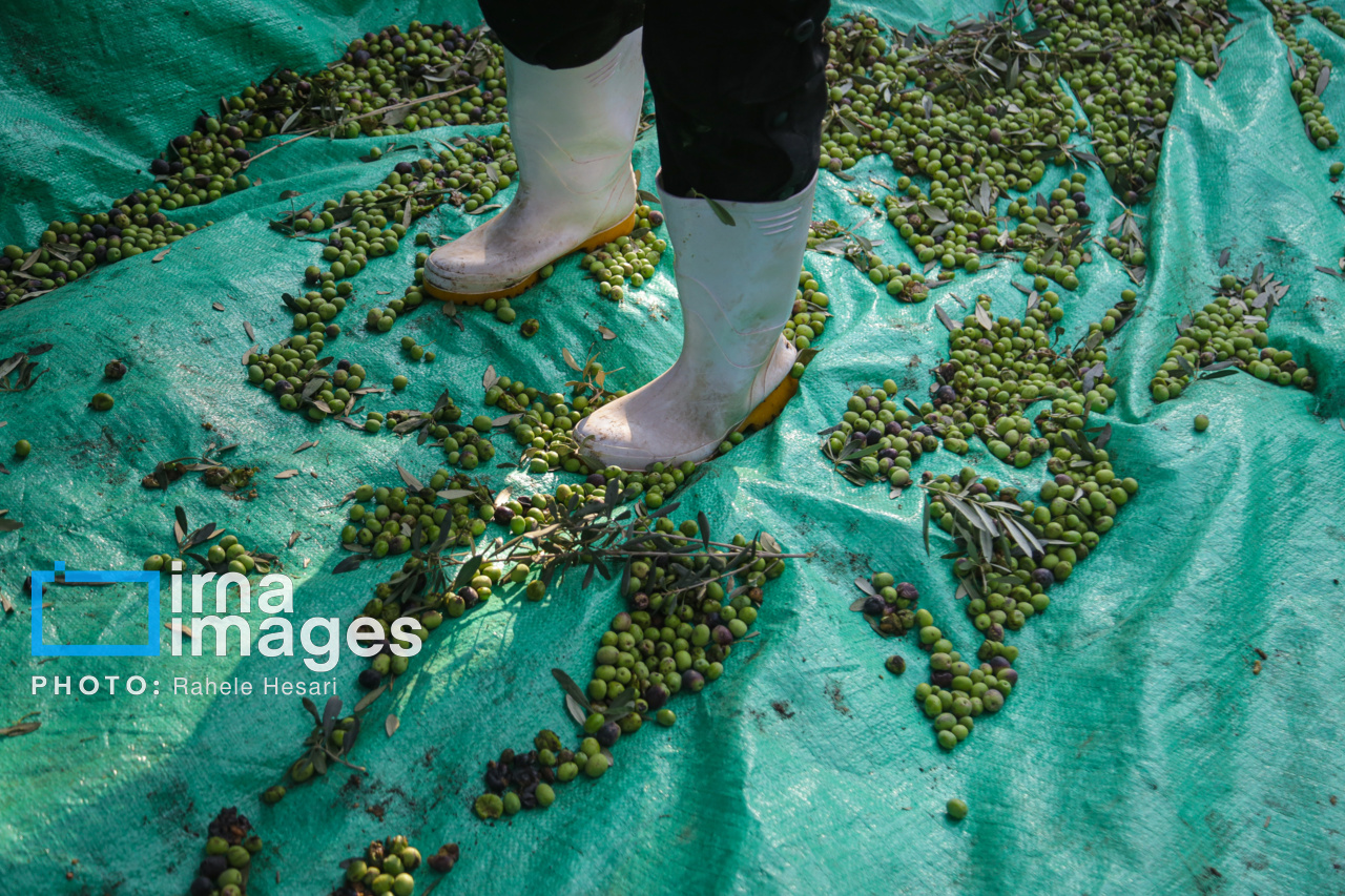 روزی در خاک و دریا