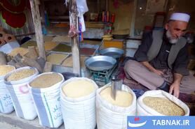 بازار پرندگان کابل؛ سنتهای کهن در دل زندگی مدرن