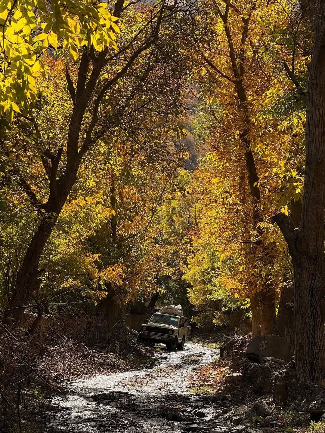 طبیعت زیبای ییلاقات طرقبه مشهد 