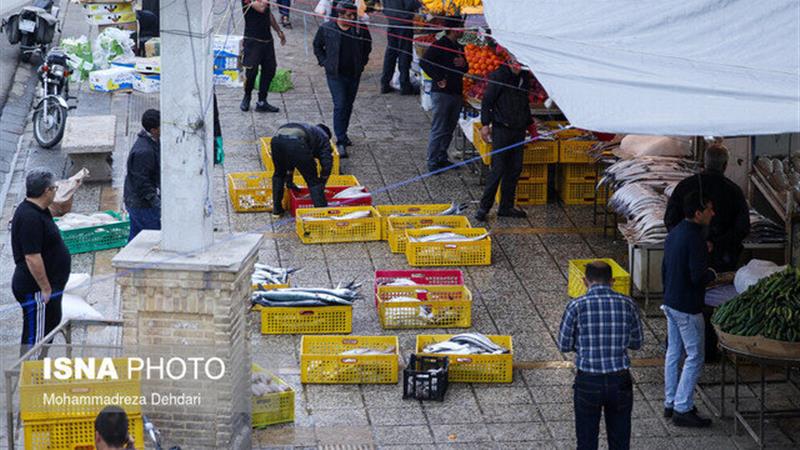انتقال اصناف دروازه کازرون شیراز به بازار پروتئین نهایی شد/ افزایش تنفس اجاره بها به ۶ ماه