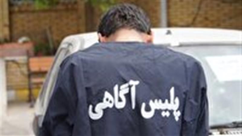 سارق آپارتمان دستگیر شد