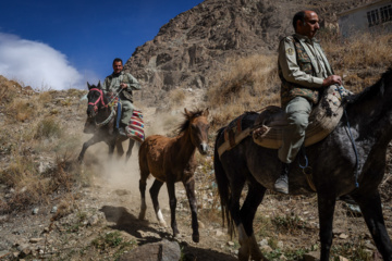 حفاظت بیوقفه