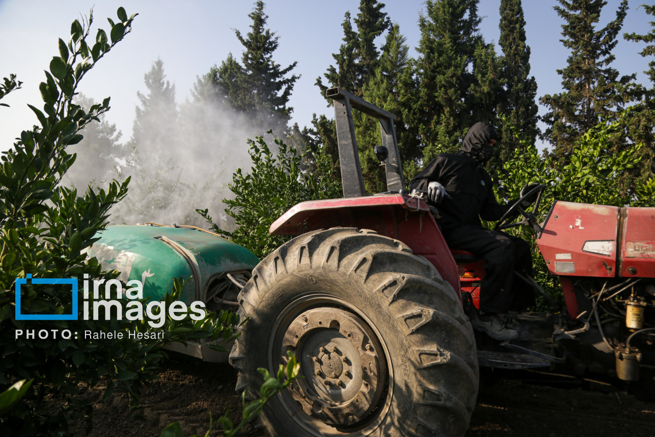 روزی در خاک و دریا