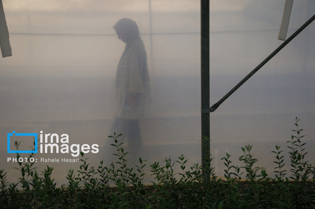 روزی در خاک و دریا