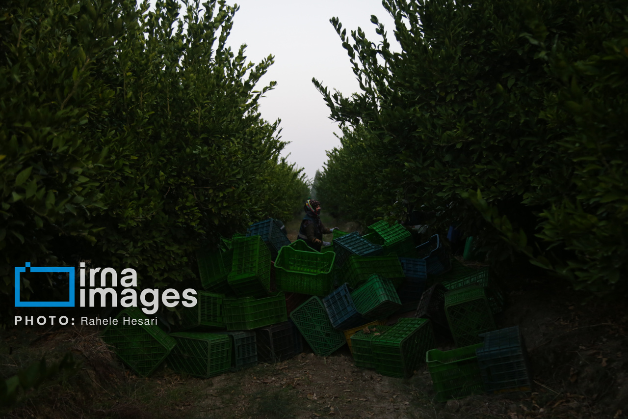 روزی در خاک و دریا