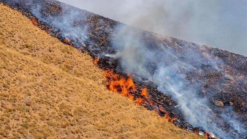 آتشسوزی جنگلهای بدره ایلام مهار شد