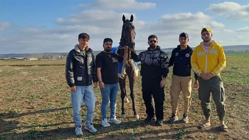 آیین بزرگداشت پیشکسوتان سوارکاری در بیلهسوار برگزار شد