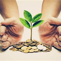 مدیرعامل جدید صندوق پژوهش و فناوری نوآفرین معرفی شد