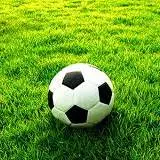 انگار قبلا دیده بودیم؛ دژاوو در دیدار تراکتور - پرسپولیس