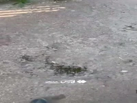 وضعیت نامناسب پل‌های عابر پیاده در بندرعباس