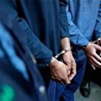 دستگیری سارقان پسته در اردکان