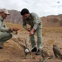 فرمانده یگان حفاظت محیط زیست: سربازان وظیفه به عنوان محیطبان به کار گرفته میشوند