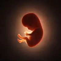 راه درمان زوجینی که مکرر دچار سقط جنین می شوند چیست ؟