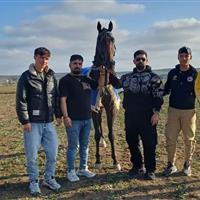 آیین بزرگداشت پیشکسوتان سوارکاری در بیلهسوار برگزار شد