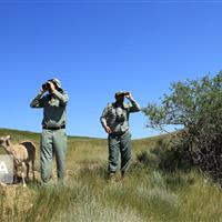 ۴۱ محیط‌بان برای ۲۰۰ هزار هکتار؛ آیا حفاظت از طبیعت خراسان‌شمالی کافی است؟