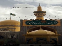 استوری/ یک زیارت مرا نمی طلبی؟