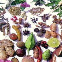 گیاهان دارویی، قاتل چربی خون بالا