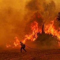 آتشِ سحرگاهی، قبل از خورشید؛ جنگلهای «زرانگوش» را روزِ روشن کرد