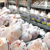 تشدید نظارت‌ها بر بازار مرغ گرم در استان قزوین