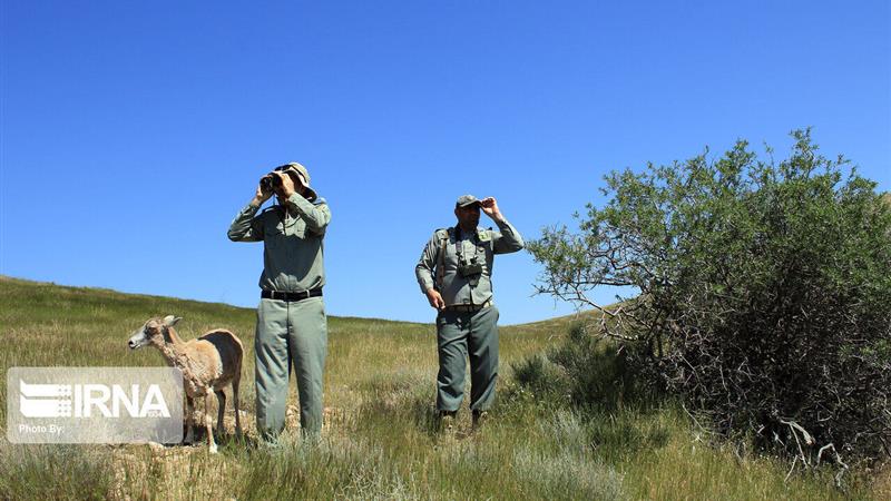 ۴۱ محیطبان برای ۲۰۰ هزار هکتار؛ آیا حفاظت از طبیعت خراسانشمالی کافی است؟