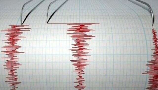 افزر فارس لرزید