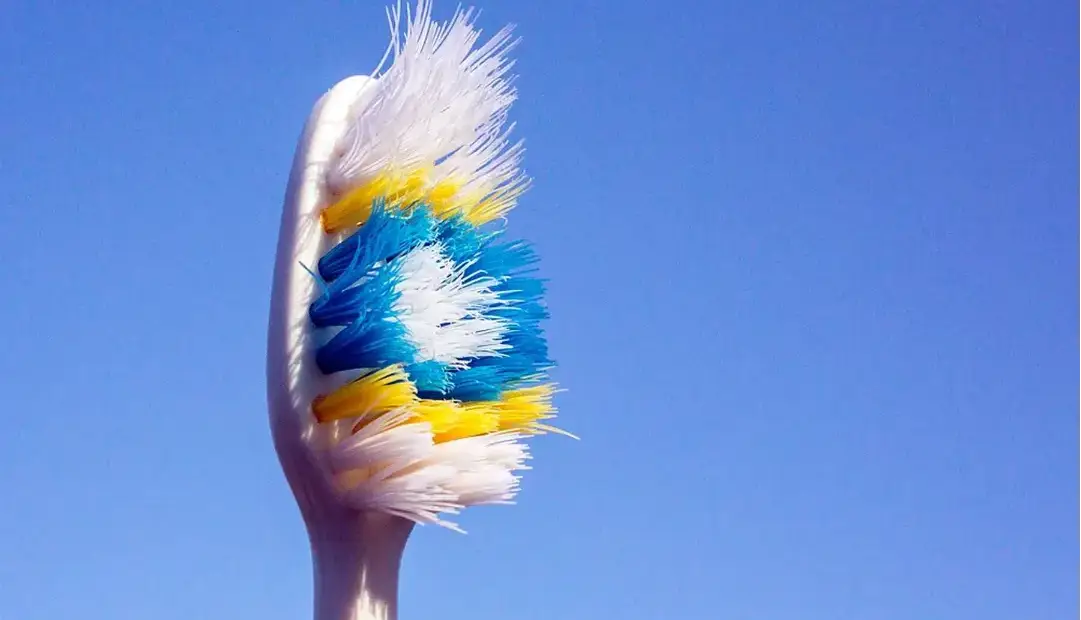 مسواک شما مملو از میکروبها است؛ چه زمانی باید آن را عوض کنید؟