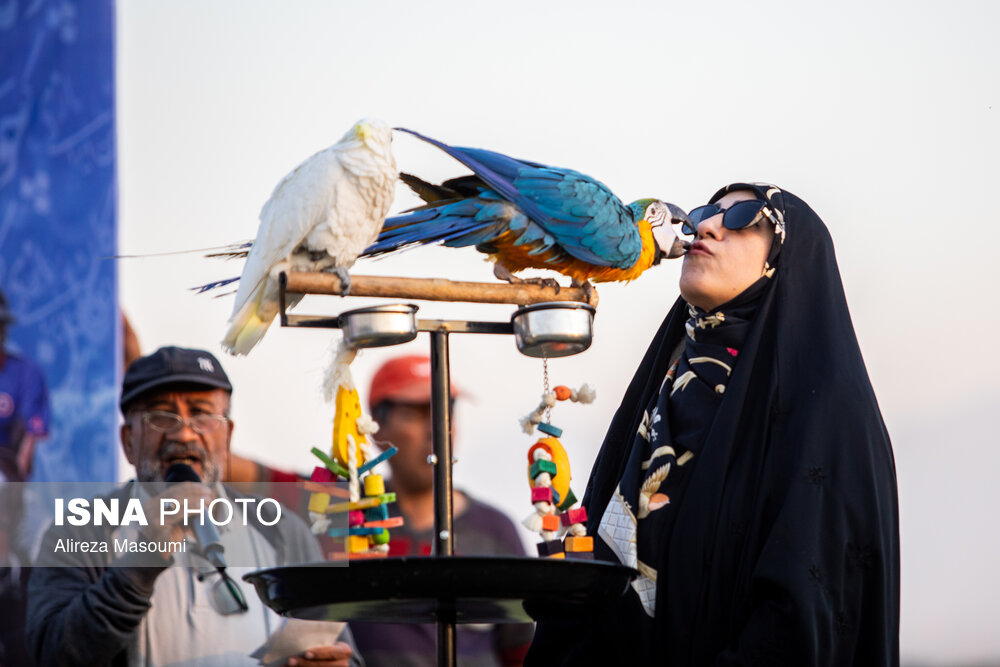 هفته پانزدهم لیگ ملی چوگان ایران